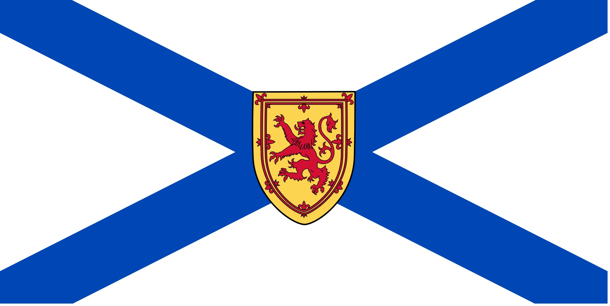 NS Flag
