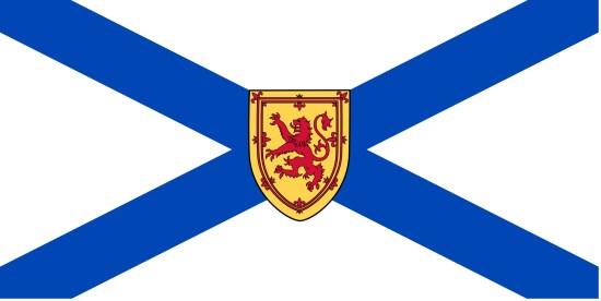 NS Flag